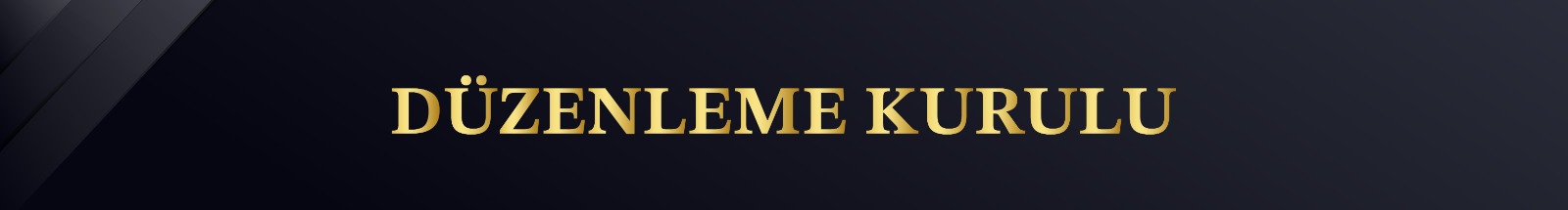 Düzenleme Kurulu