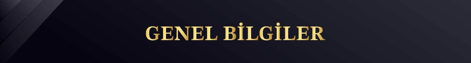 Genel Bilgiler