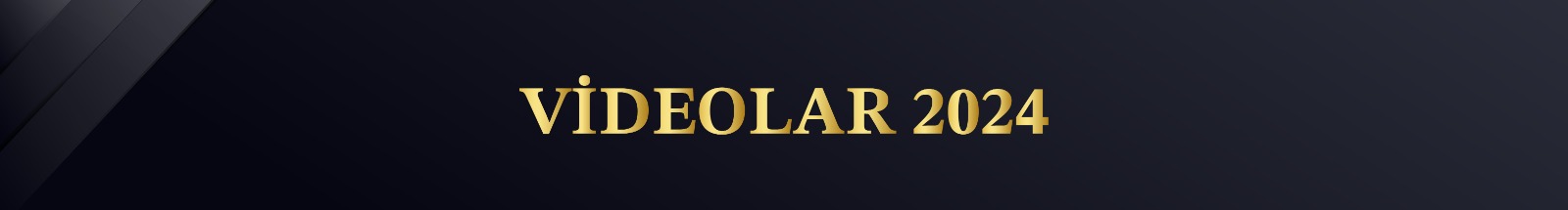Videolar 2024